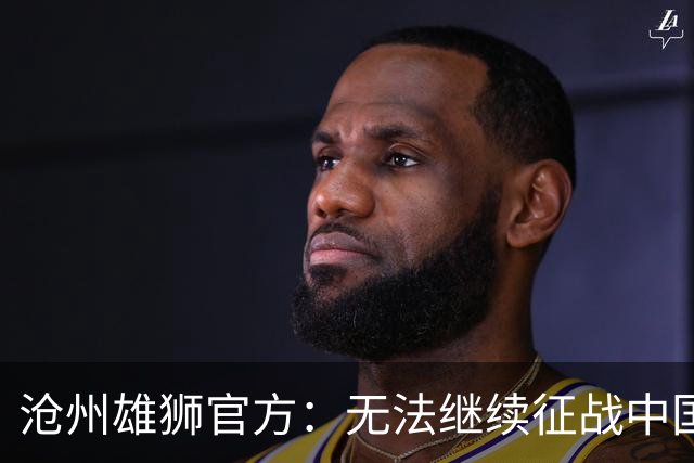 沧州雄狮官方：无法继续征战中国足球职业联赛